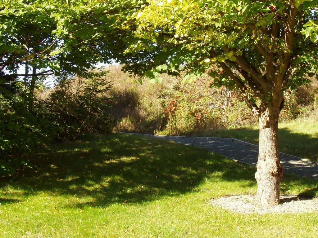 Winter Wonderland Activities