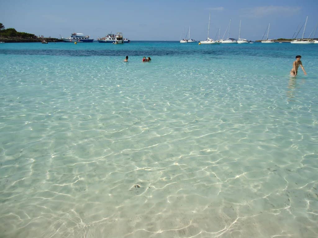 Snorkeling Paradise