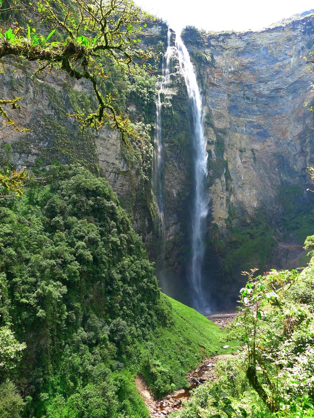 Vertical photo