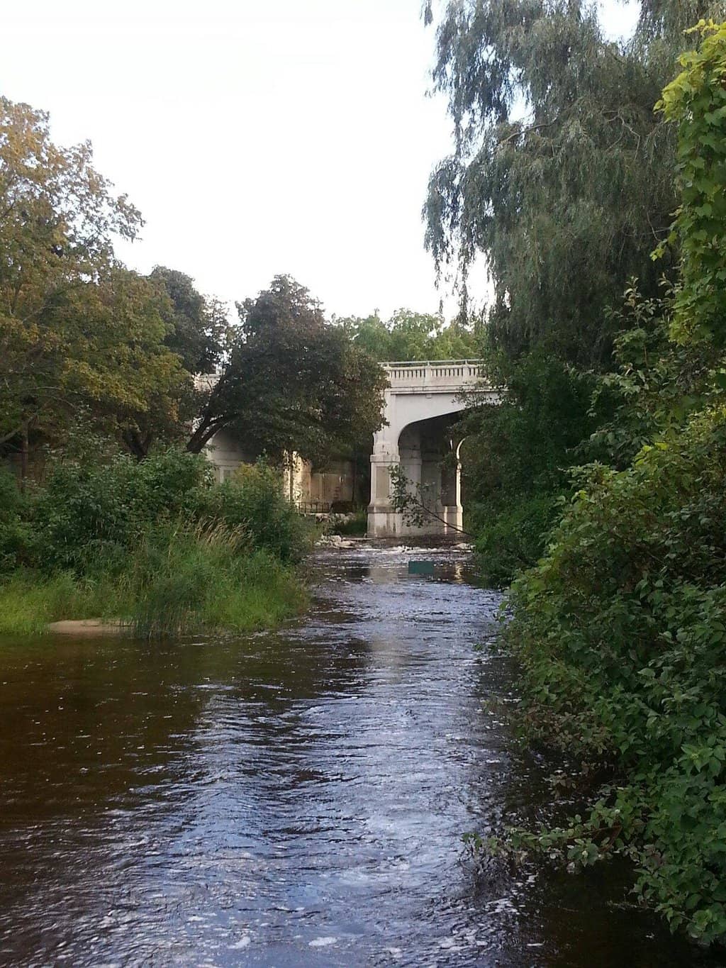Downtown Petoskey Proximity