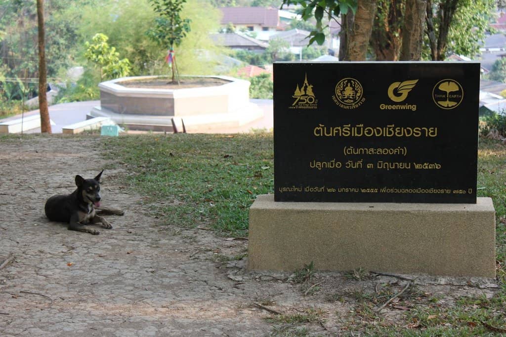 The Twin Golden Stupas
