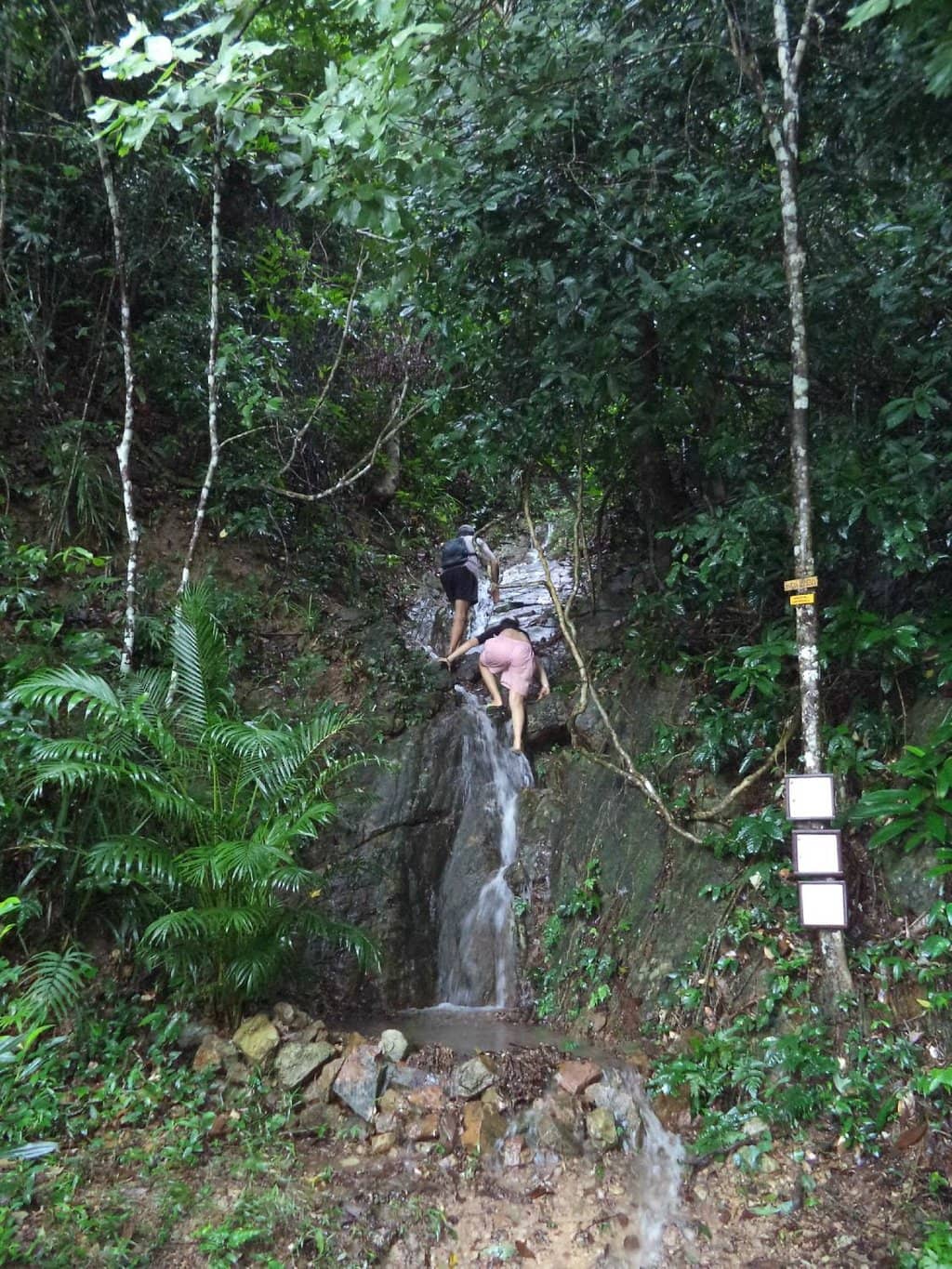 Paved 8km Loop Trail
