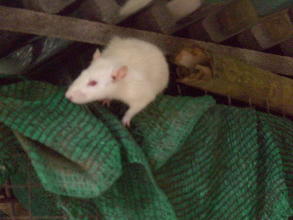 Picturesque Caverns & Waterfalls