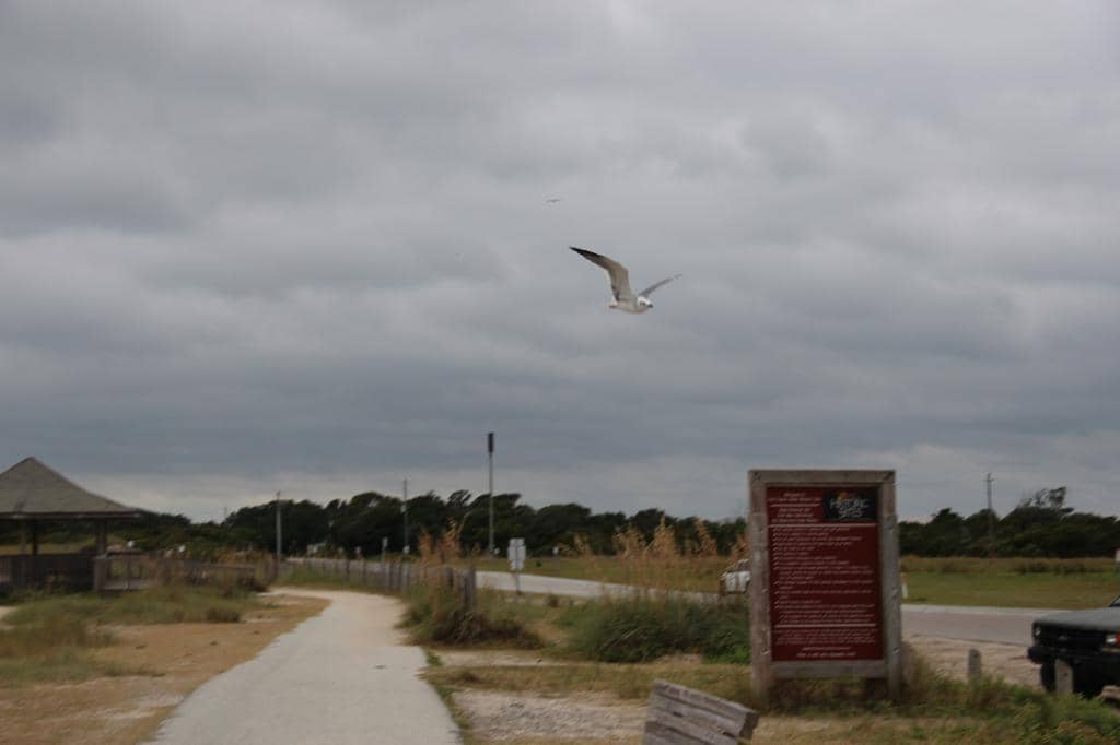 Undeveloped Beachfront