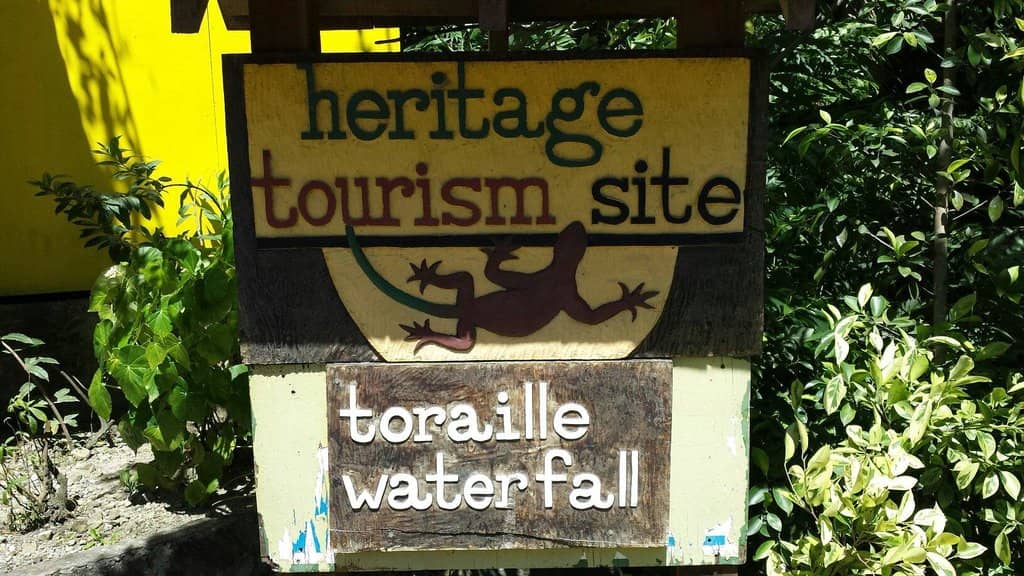 Lush Tropical Surroundings