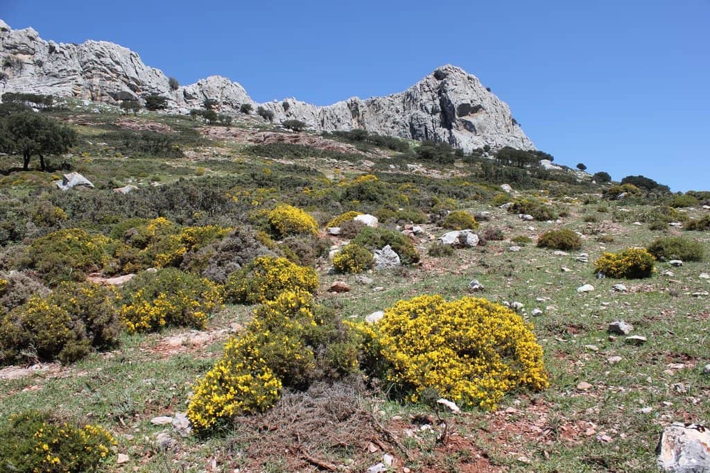 Natural Pools & Waterfalls