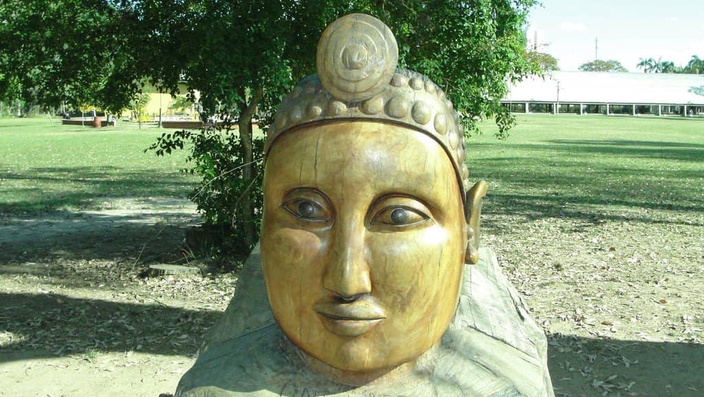 Family-Friendly Green Space