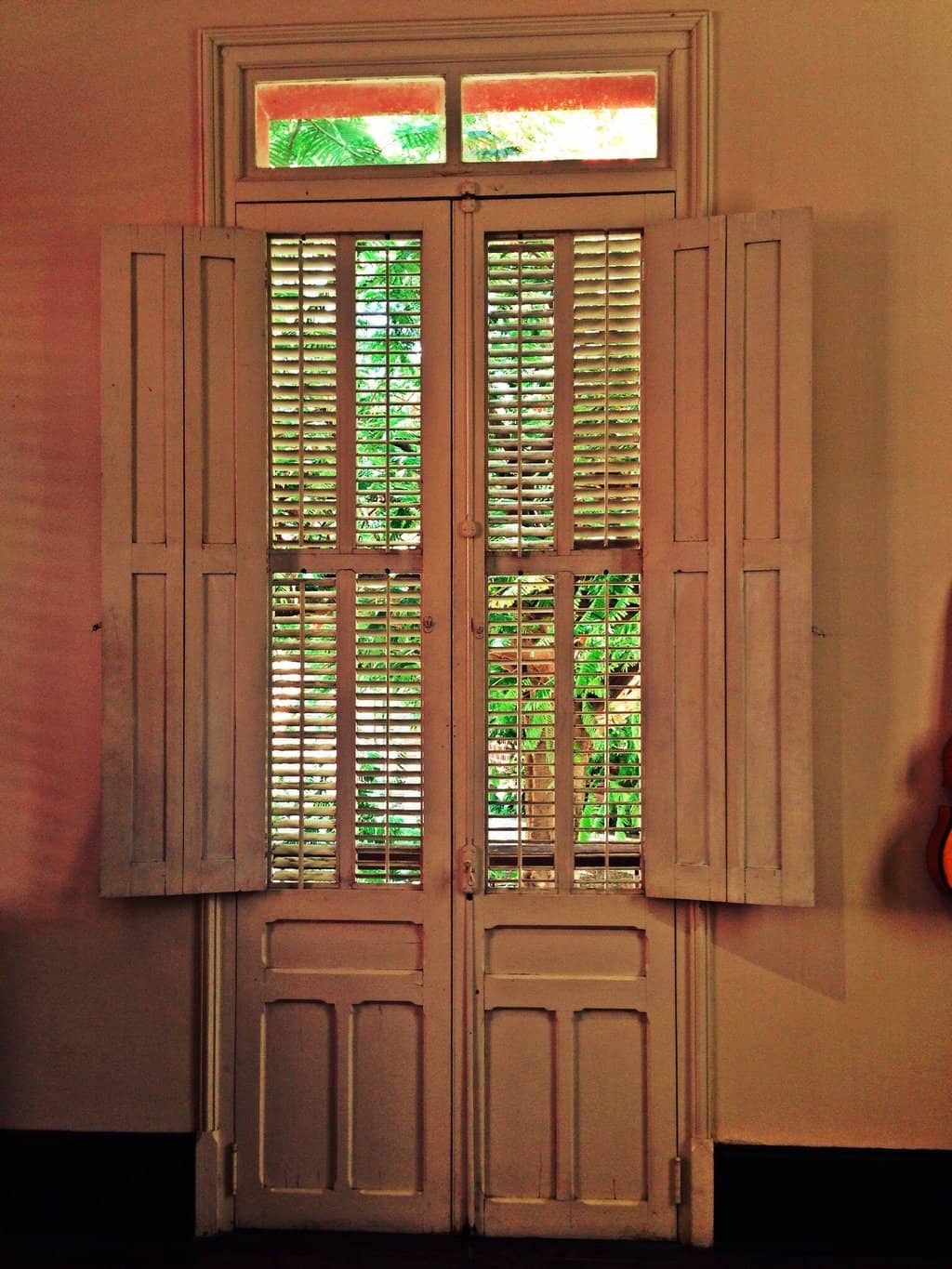 The Passionate Docents