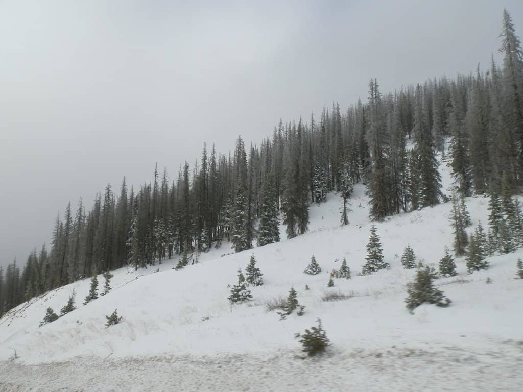 Horseback Riding Adventures