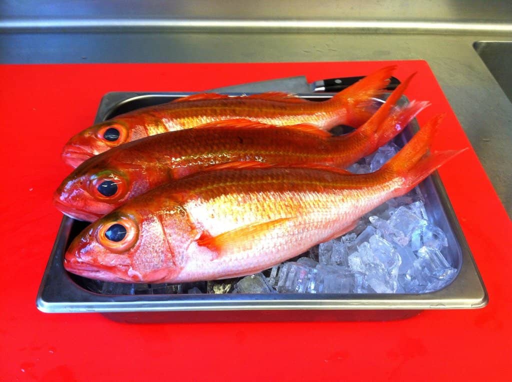 Smoky Sashimi for Dessert?