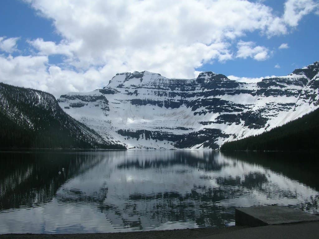 Wildlife Viewing Drive