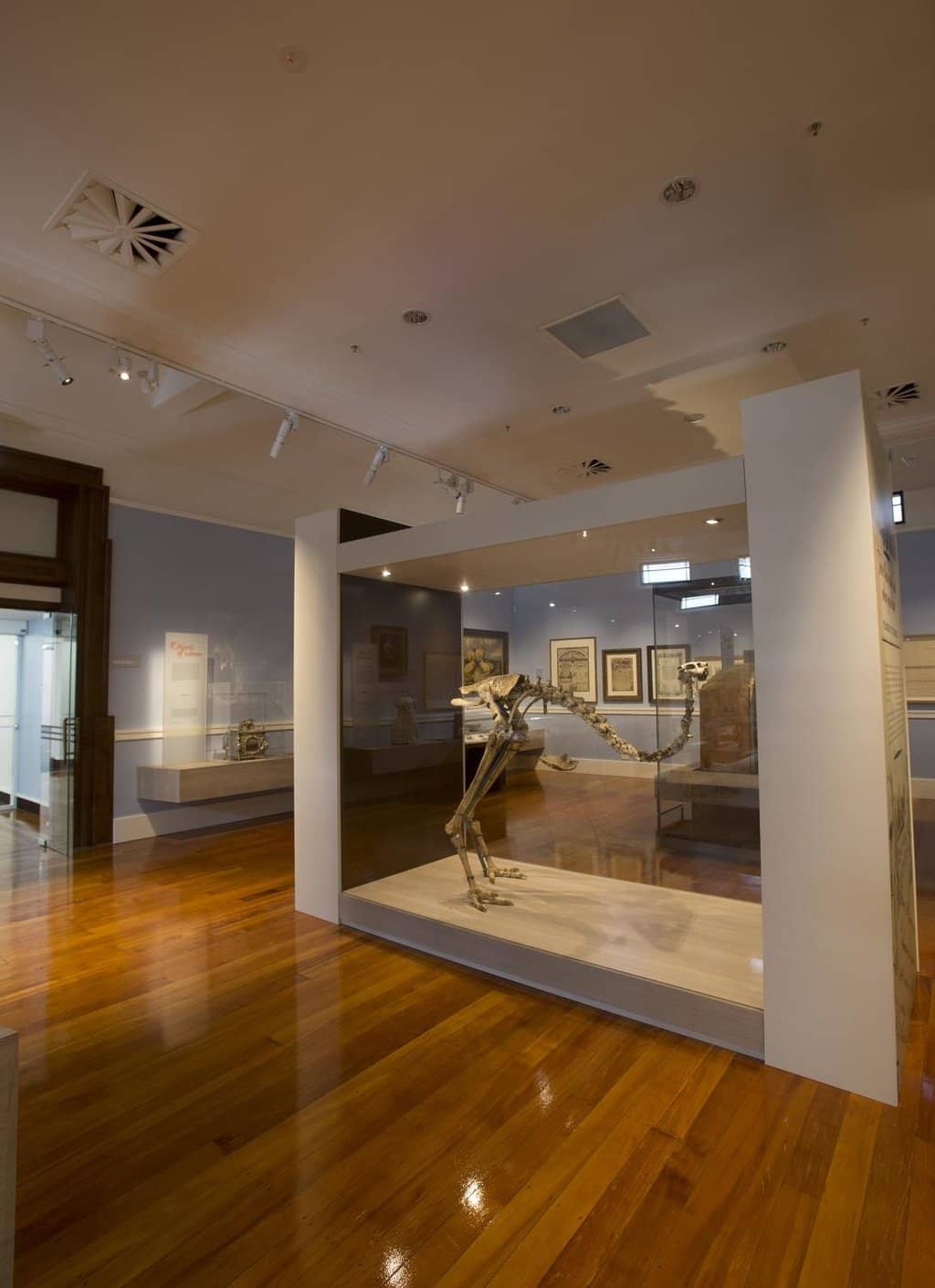 Māori Art & Culture