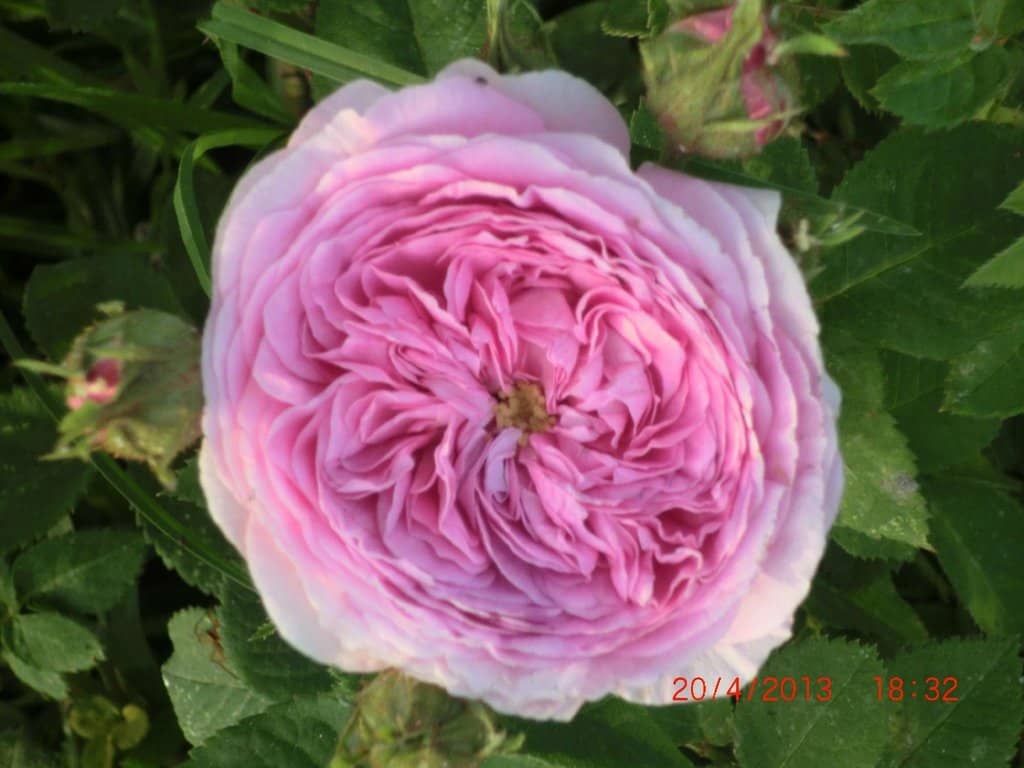 Sensory Barefoot Path & Foot Baths