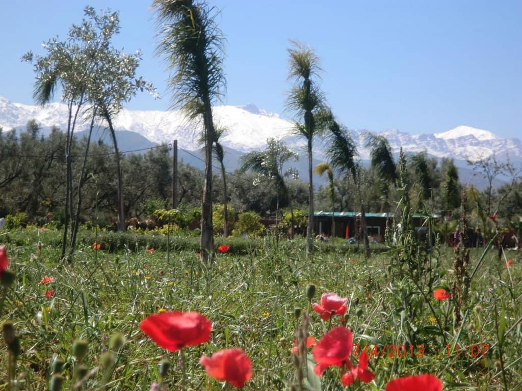 The Saffron Gardens & Atlas Views