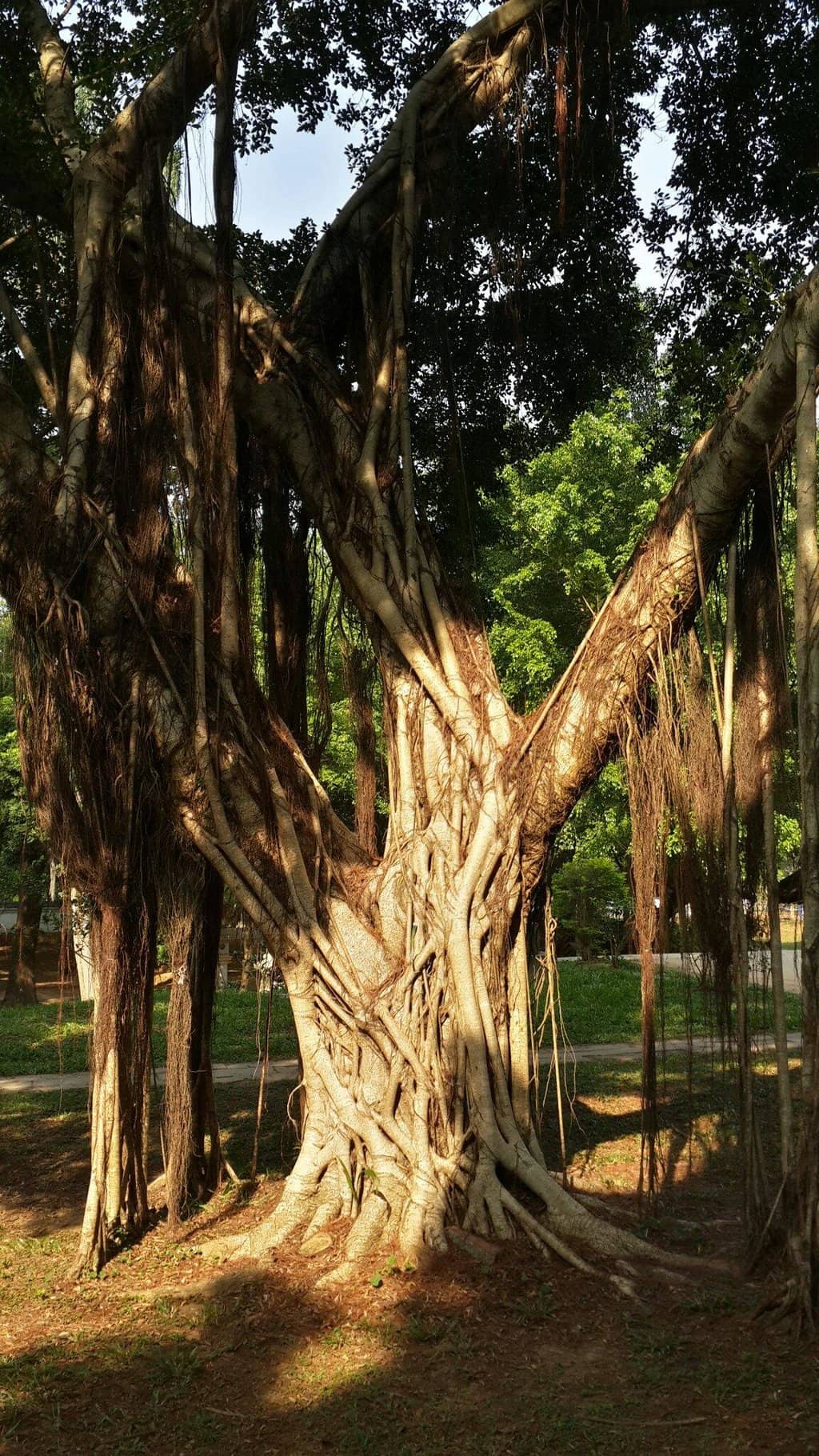 Vertical photo