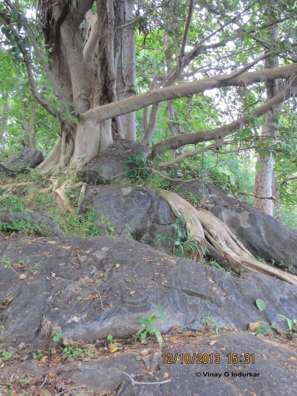 Trekking Trails