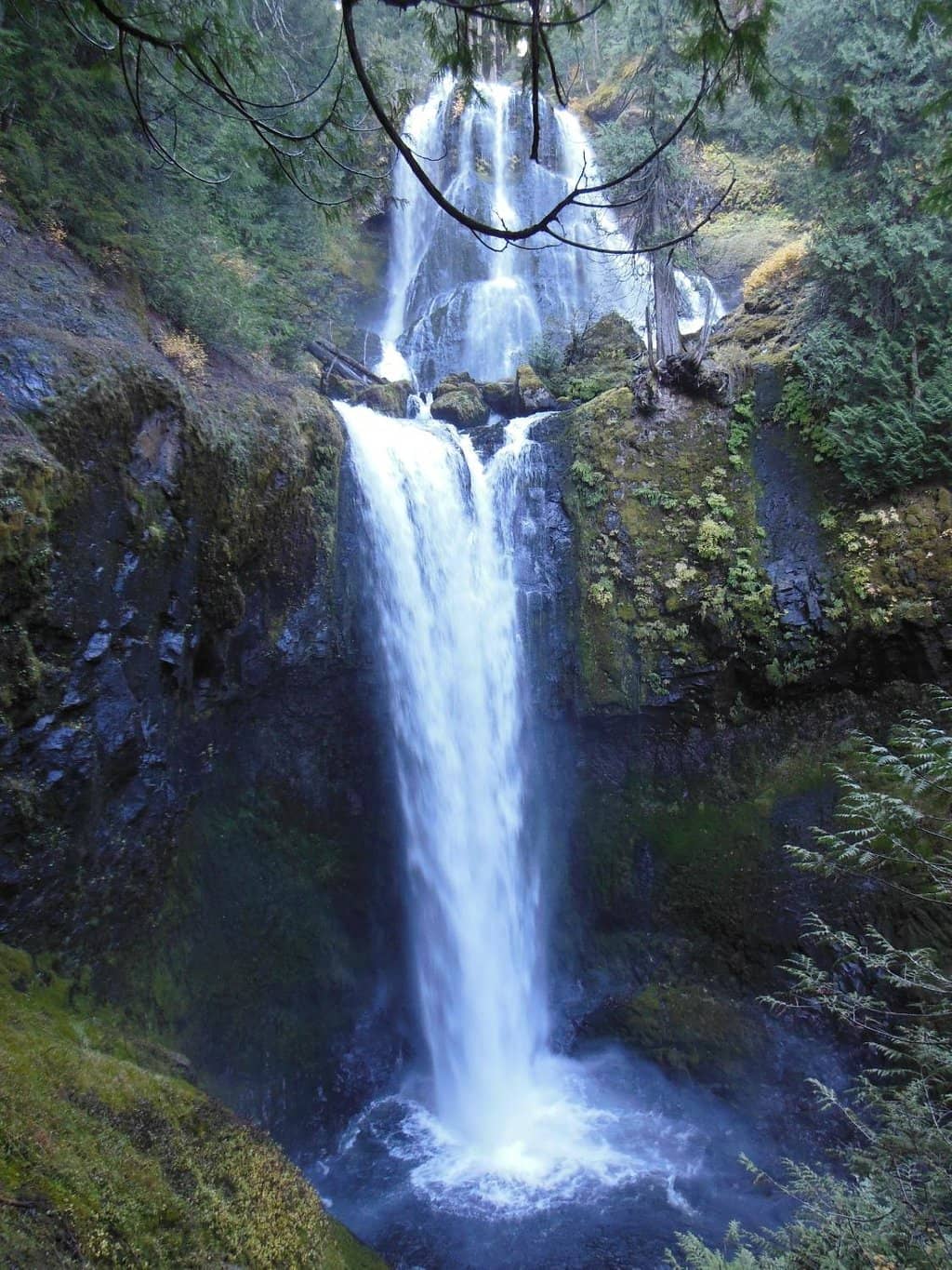 Vertical photo
