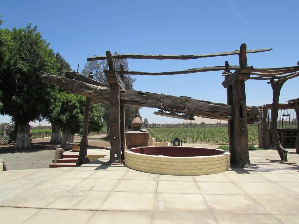 Pisco & Wine Tasting