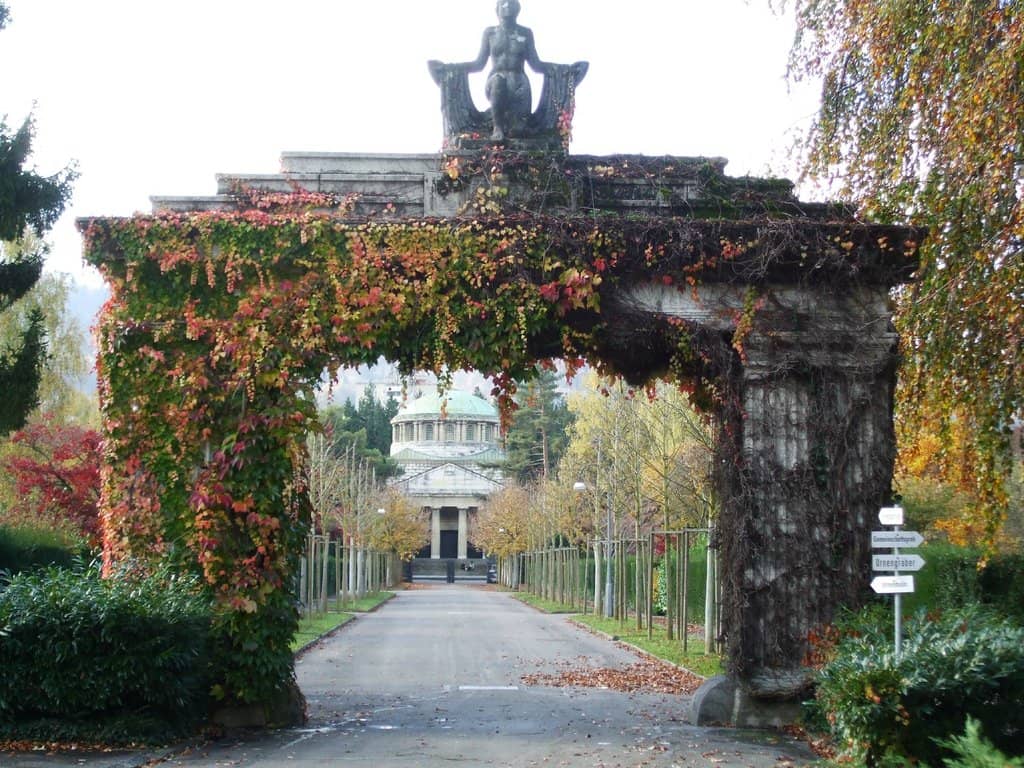 Park-like Atmosphere