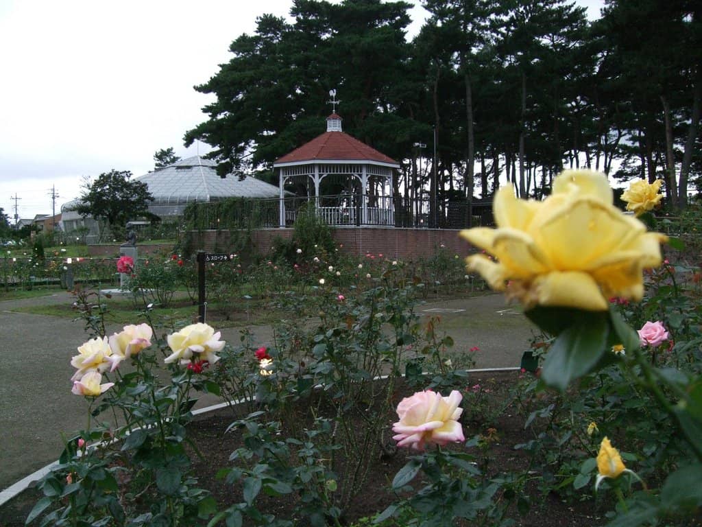 Gazebo Serenity