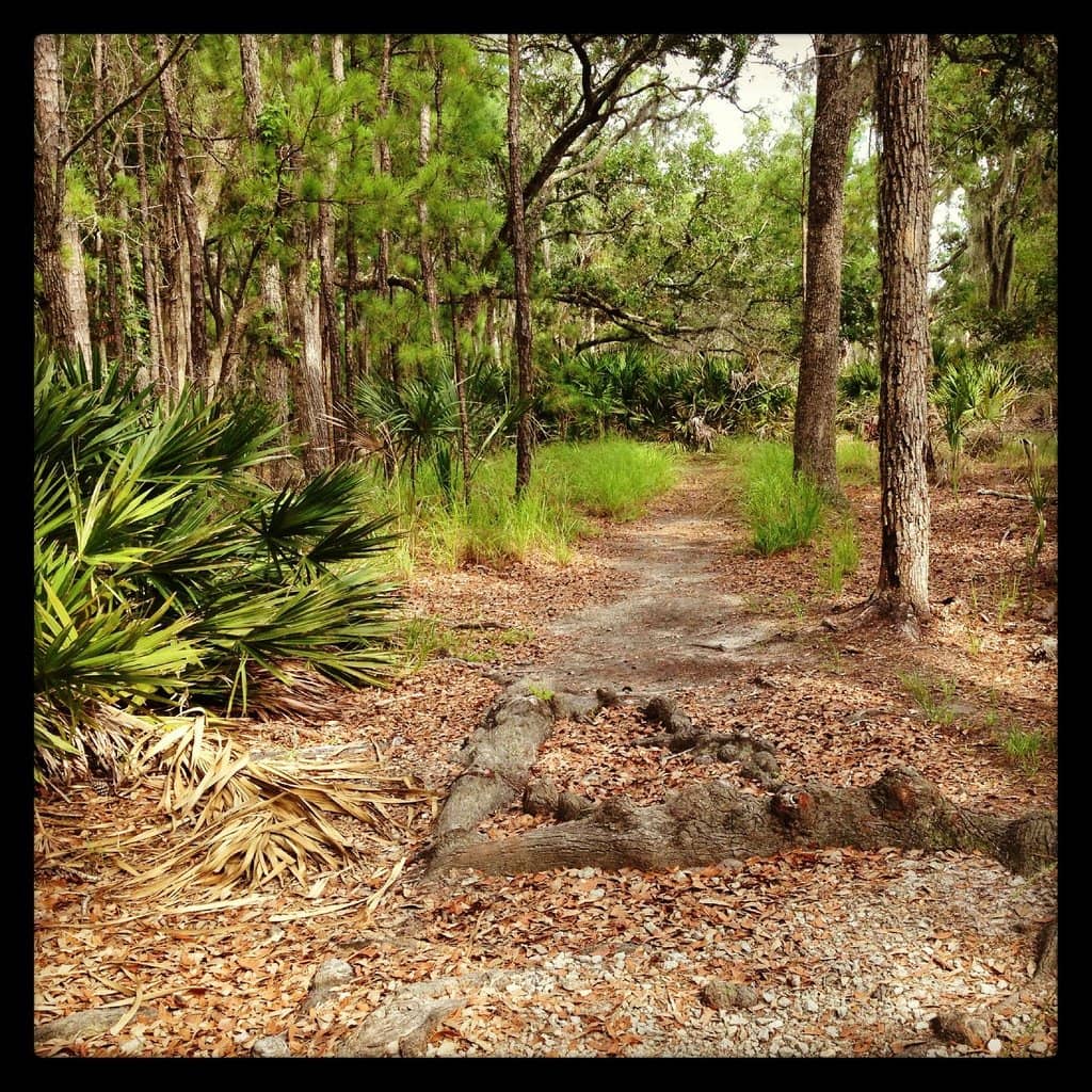 Nature Center & Sloth Skeleton