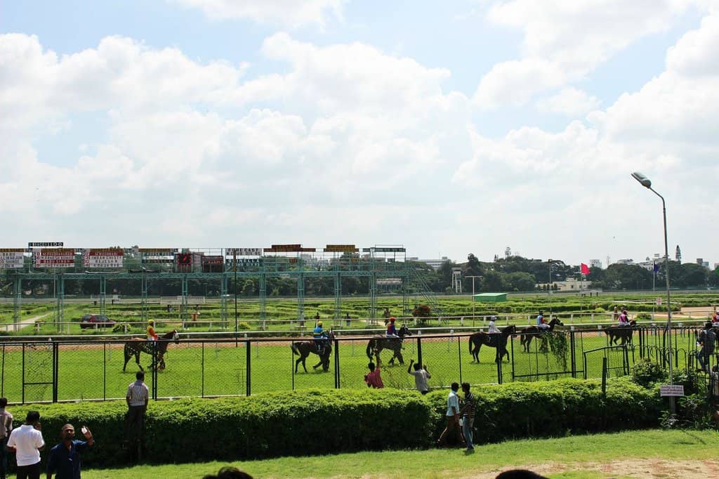 The Thrill of the Race