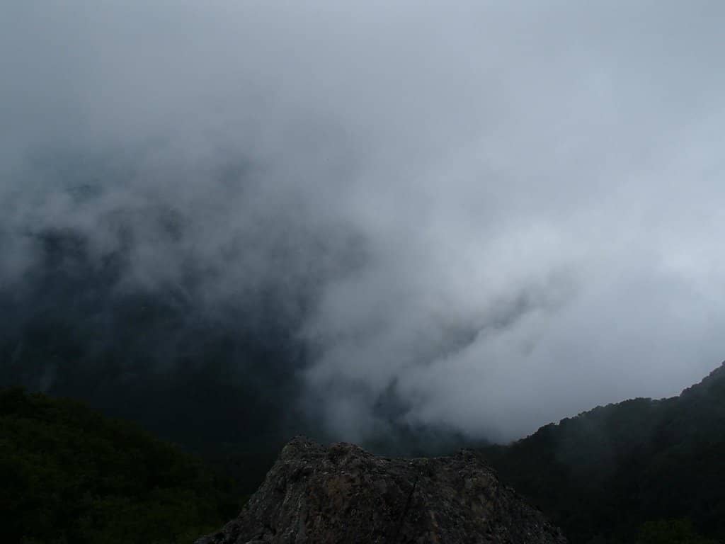 Vertical photo