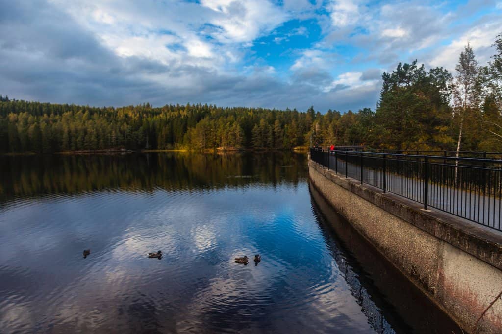 Lakeside Serenity