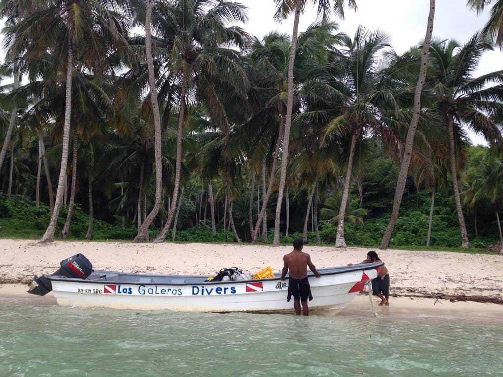 Tranquil White Sands