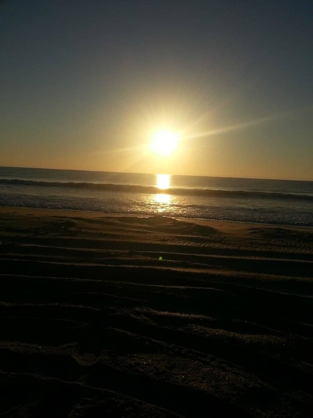 Dog-Friendly Paradise