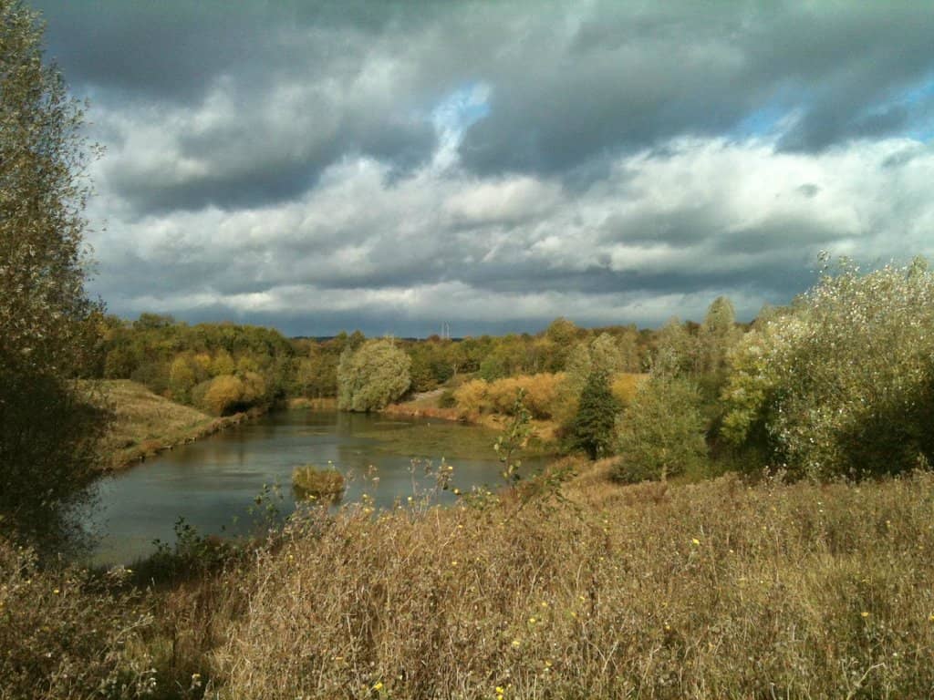 Woodland Bird Watching