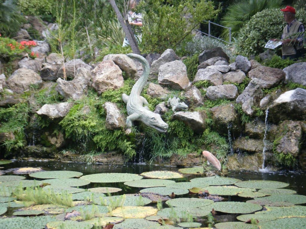 The Valley Garden