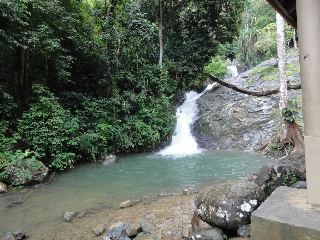 Natural Swimming Pools
