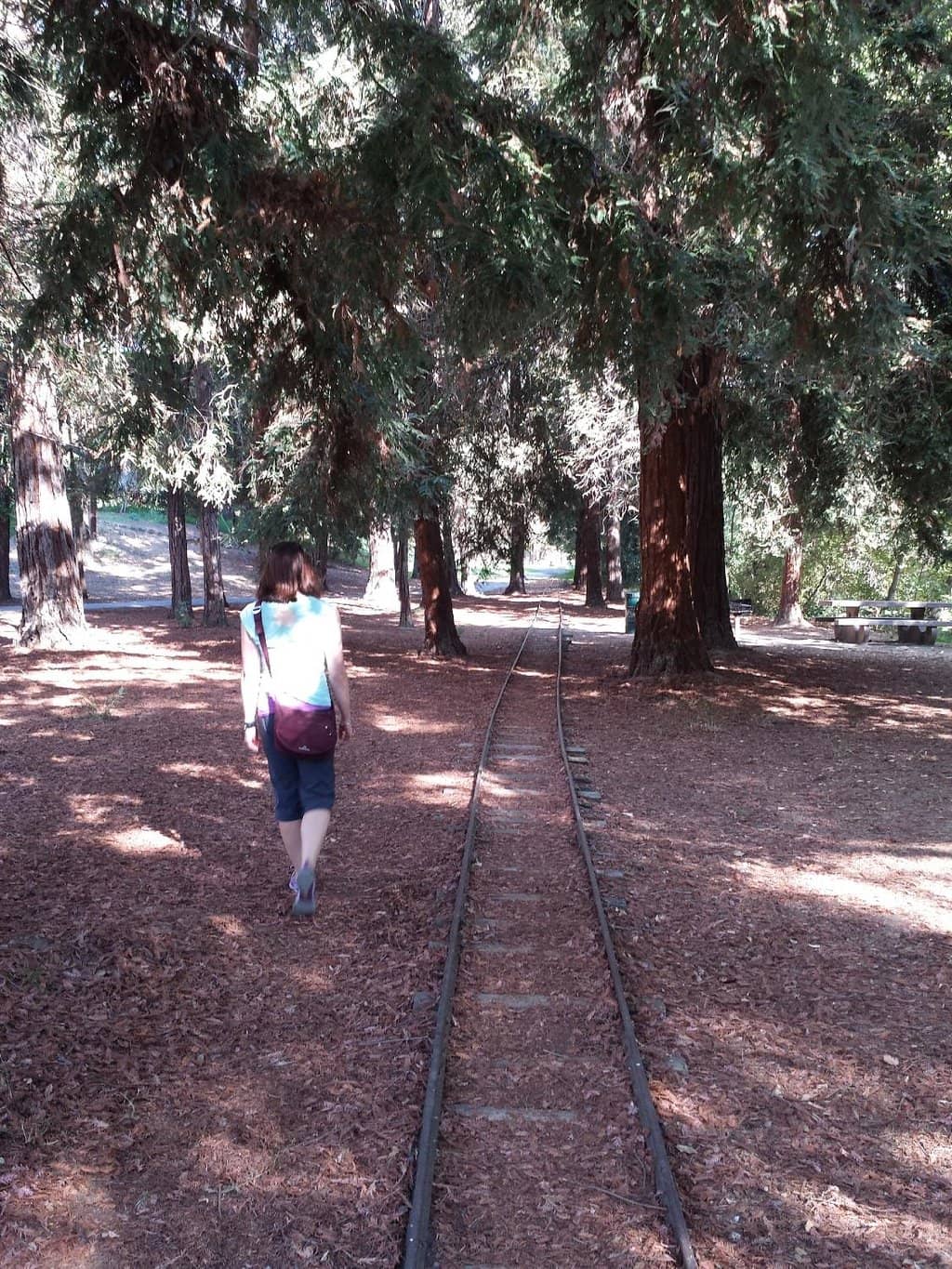 Playground Adventures