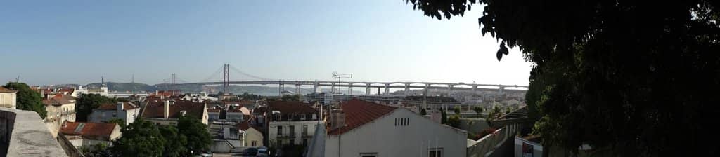 Peacocks and Duck Ponds