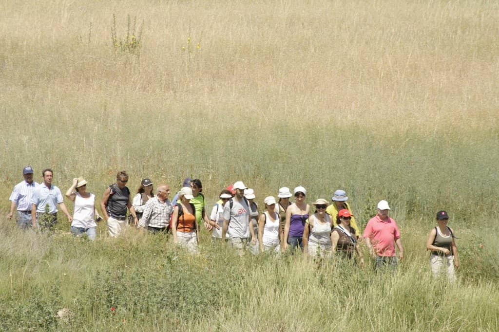 Scenic Mountain Drive