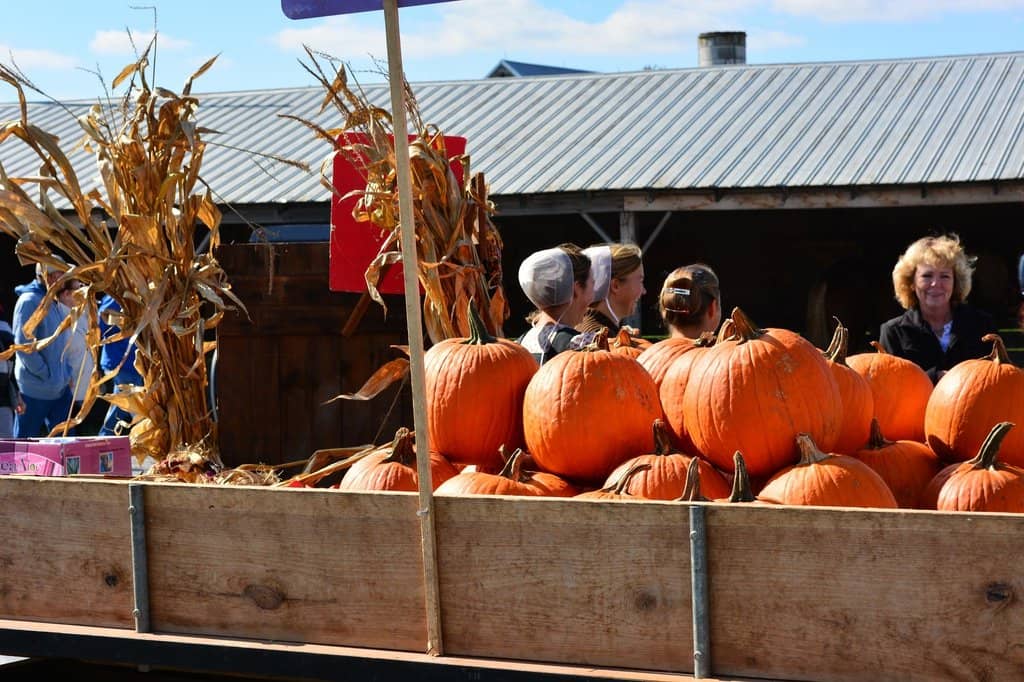 Amish Baked Goods & Delicacies