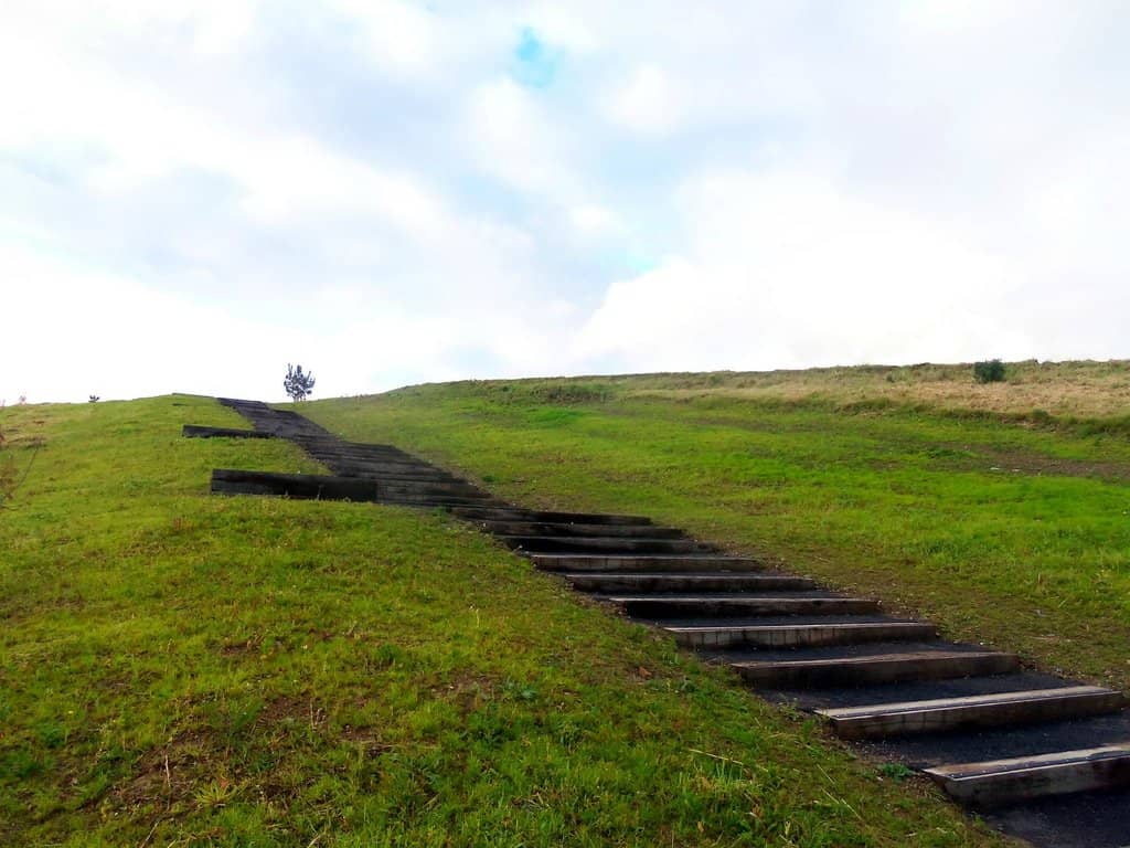 Panoramic City Views