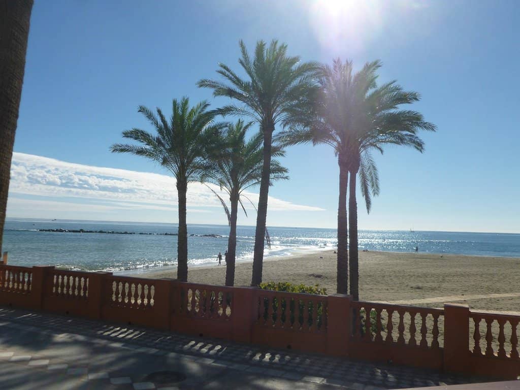 Happy Hour Cocktails