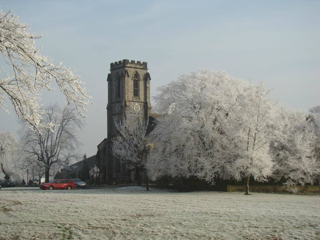 Spring Crocus Displays
