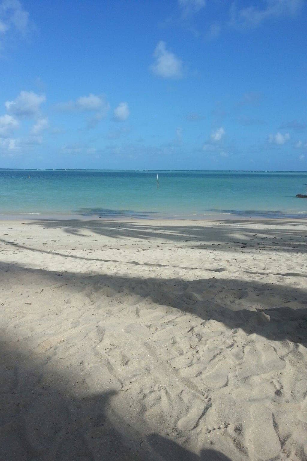 Natural Pools at Low Tide