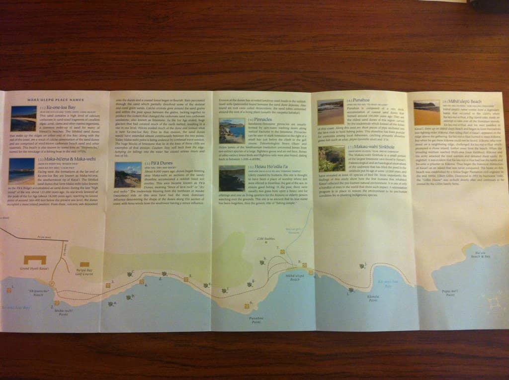 Sea Turtle Sightings