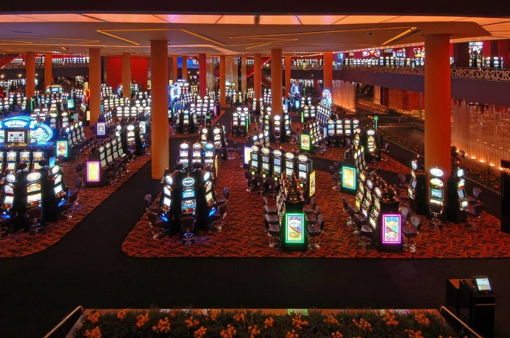 Live Music & Concerts