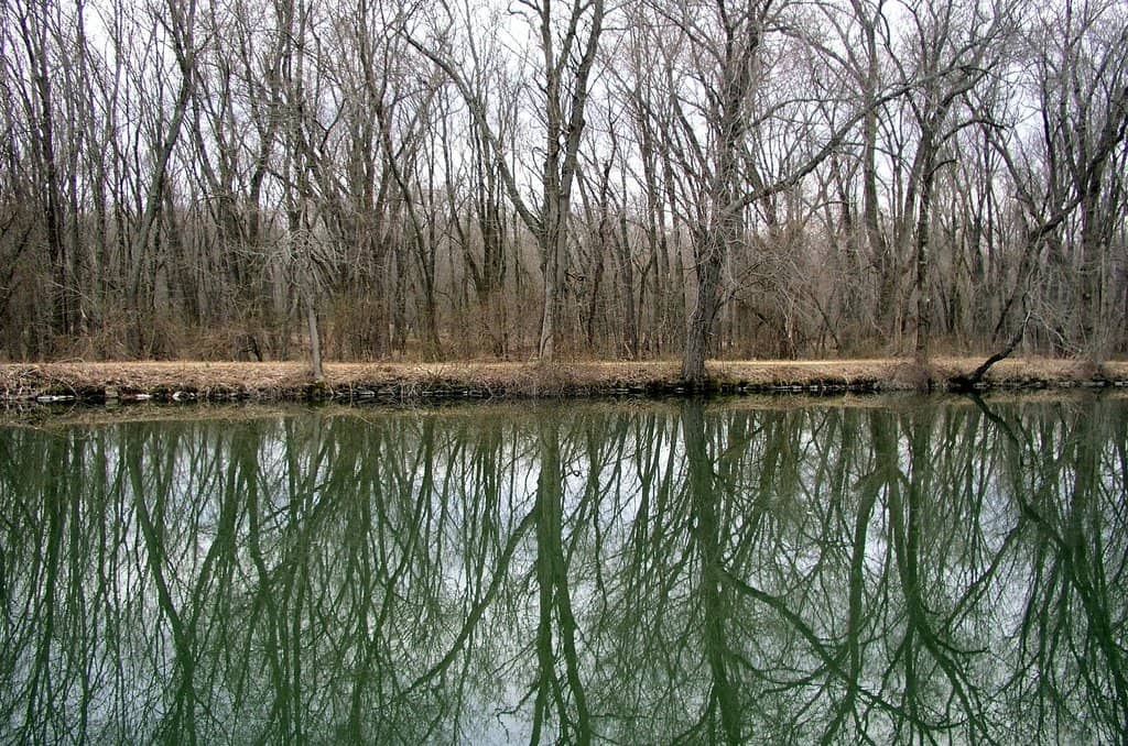 Princeton University Campus