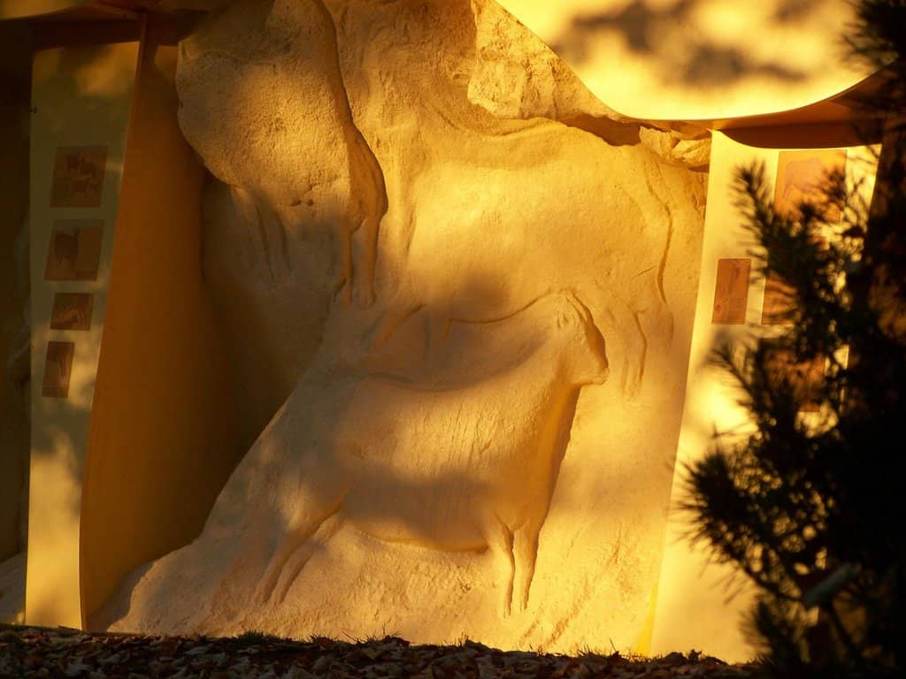 Outdoor Area & Playground