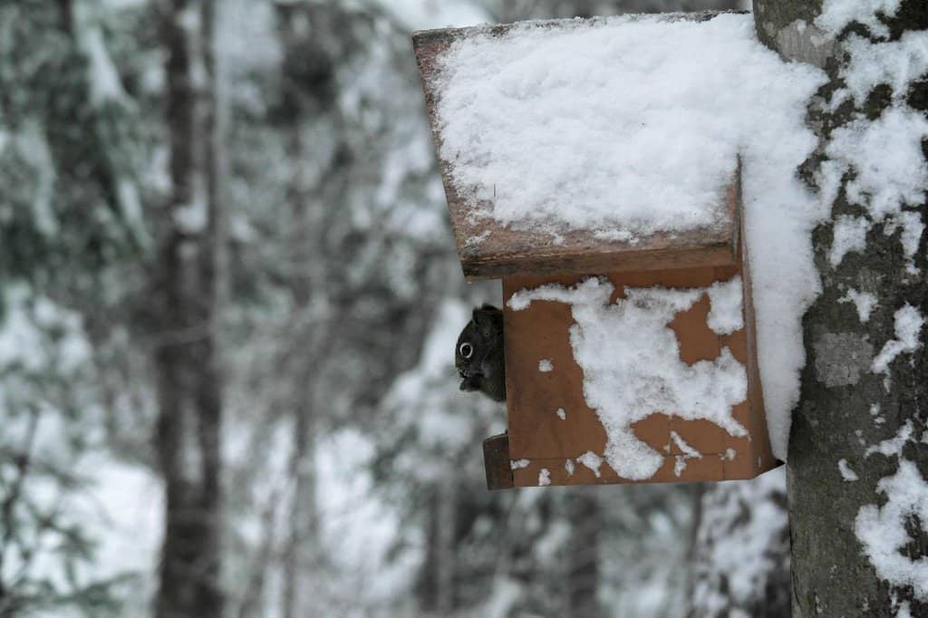 Expansive Trail Network