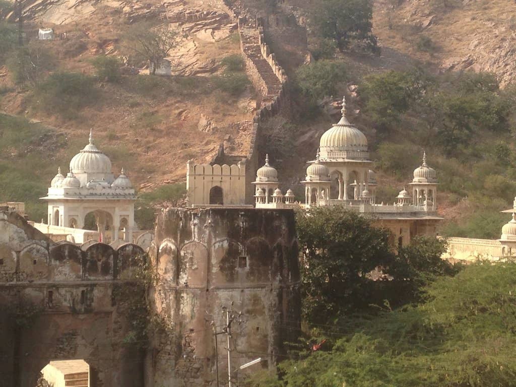 Artistic Animal and Object Motifs