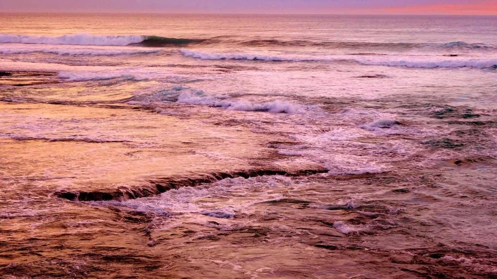 Bushrangers Bay Walk