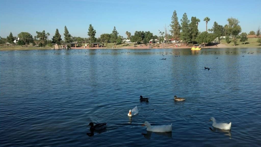 Phoenix Food Fair: Moon Festival Edition