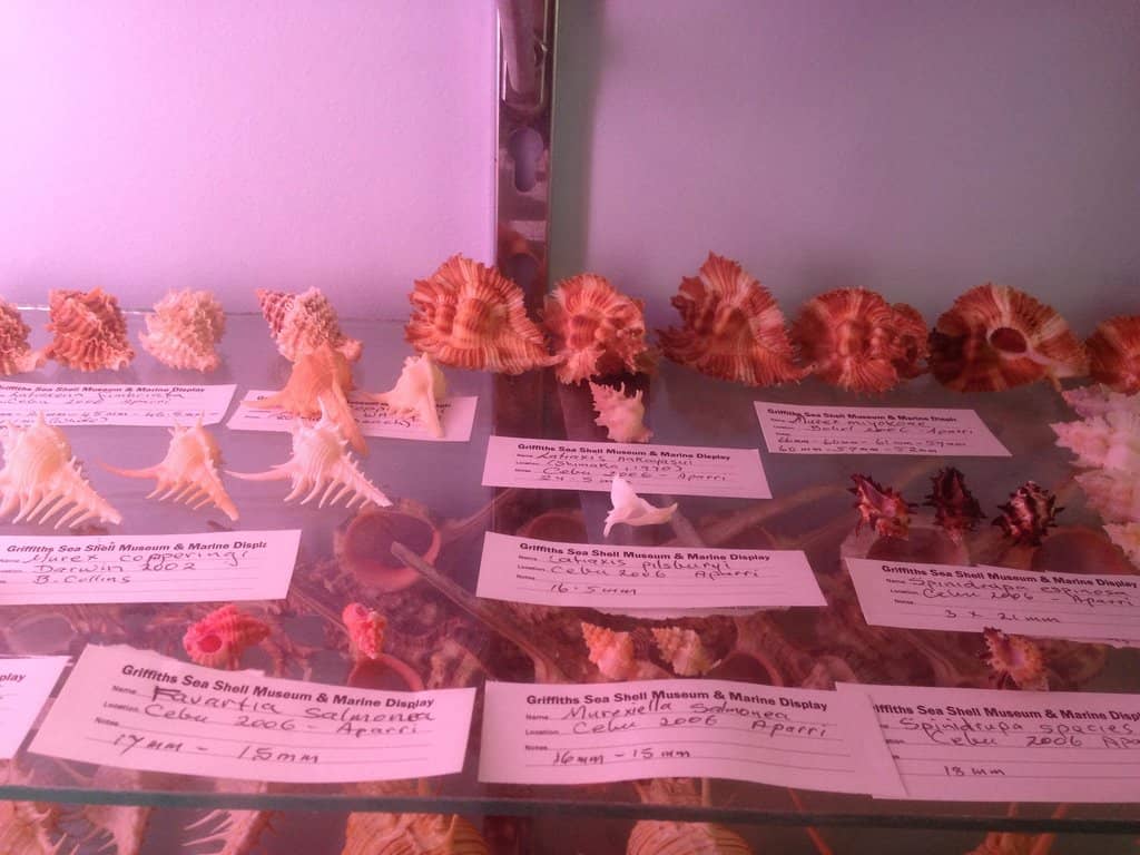 Unique Souvenirs